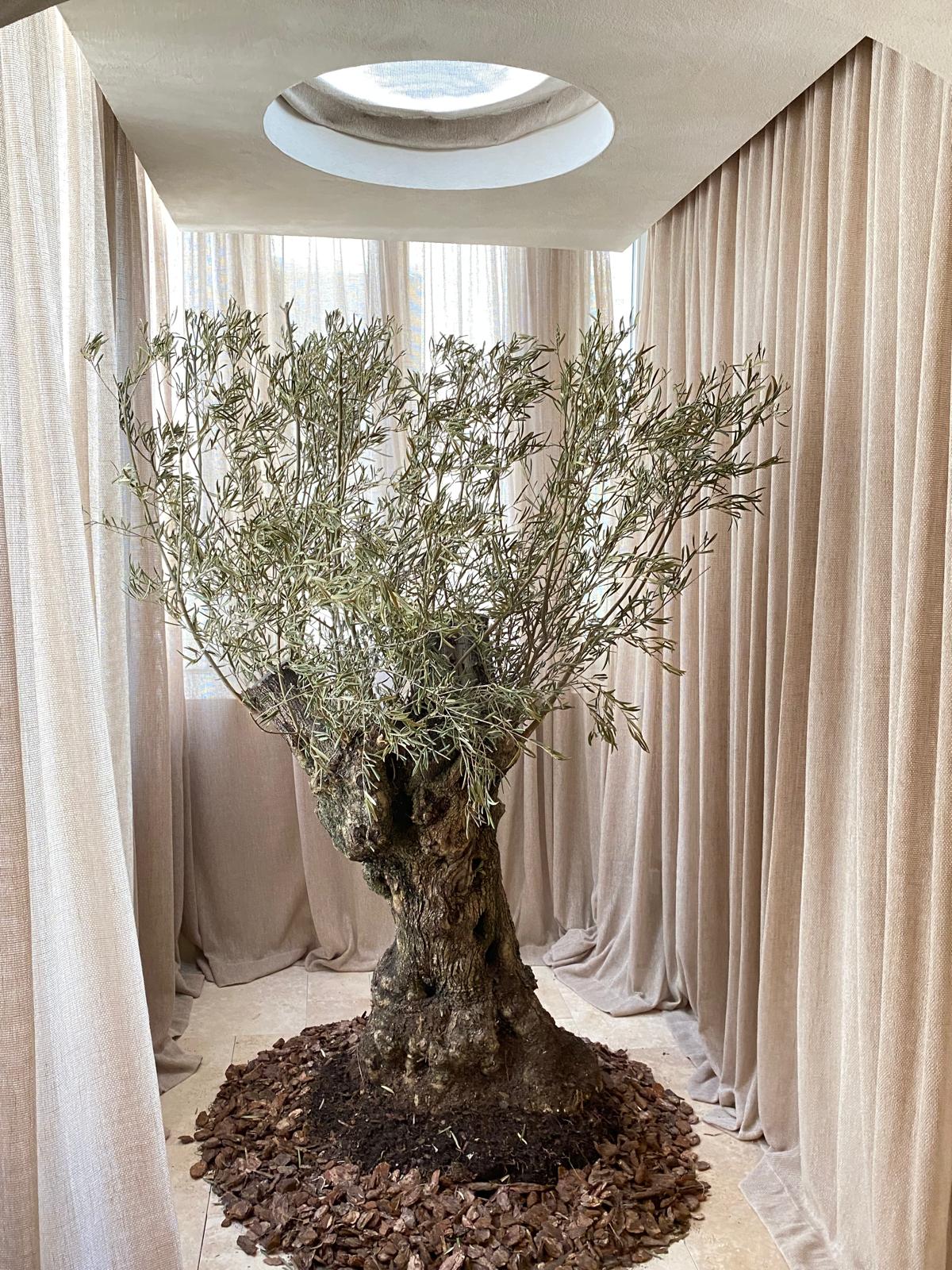 casa decor